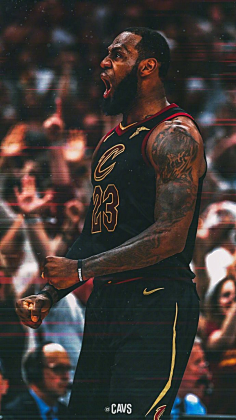 的参观节奏 的参观节奏